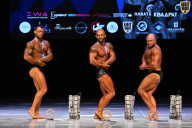 Кубок Вологодской области по бодибилдингу - 2026