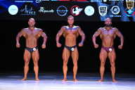 Кубок Вологодской области по бодибилдингу - 2026