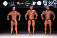 Кубок Вологодской области по бодибилдингу - 2026