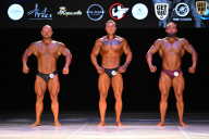 Кубок Вологодской области по бодибилдингу - 2026