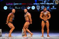 Кубок Вологодской области по бодибилдингу - 2026