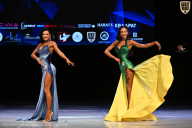 Кубок Вологодской области по бодибилдингу - 2026