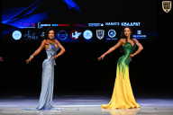 Кубок Вологодской области по бодибилдингу - 2026