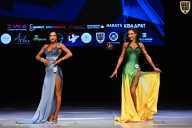 Кубок Вологодской области по бодибилдингу - 2026