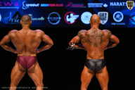 Кубок Вологодской области по бодибилдингу - 2026