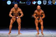 Кубок Вологодской области по бодибилдингу - 2026