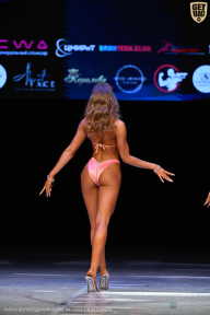 Кубок Вологодской области по бодибилдингу - 2026