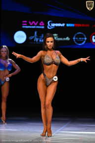 Кубок Вологодской области по бодибилдингу - 2026