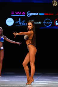 Кубок Вологодской области по бодибилдингу - 2026