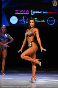 Кубок Вологодской области по бодибилдингу - 2026