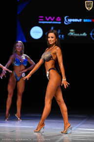 Кубок Вологодской области по бодибилдингу - 2026