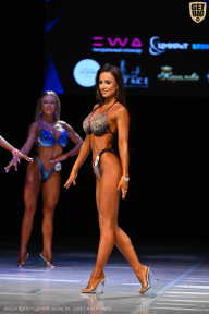 Кубок Вологодской области по бодибилдингу - 2026