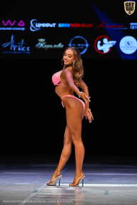 Кубок Вологодской области по бодибилдингу - 2026