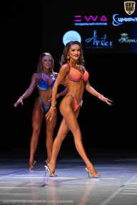 Кубок Вологодской области по бодибилдингу - 2026