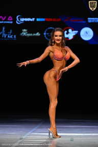 Кубок Вологодской области по бодибилдингу - 2026