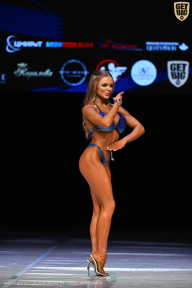 Кубок Вологодской области по бодибилдингу - 2026