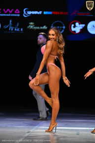 Кубок Вологодской области по бодибилдингу - 2026