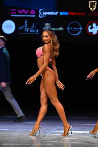 Кубок Вологодской области по бодибилдингу - 2026