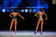 Кубок Вологодской области по бодибилдингу - 2026