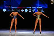 Кубок Вологодской области по бодибилдингу - 2026