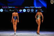 Кубок Вологодской области по бодибилдингу - 2026