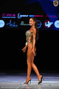 Кубок Вологодской области по бодибилдингу - 2026