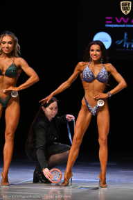 Кубок Вологодской области по бодибилдингу - 2026