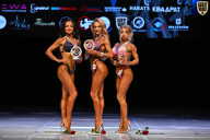 Кубок Вологодской области по бодибилдингу - 2026