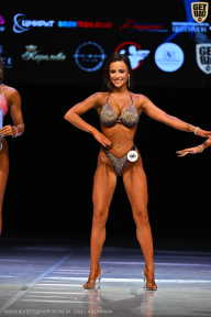 Кубок Вологодской области по бодибилдингу - 2026