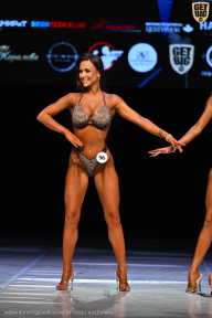 Кубок Вологодской области по бодибилдингу - 2026