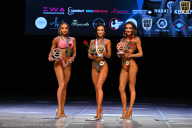 Кубок Вологодской области по бодибилдингу - 2026