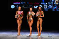 Кубок Вологодской области по бодибилдингу - 2026