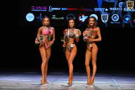 Кубок Вологодской области по бодибилдингу - 2026