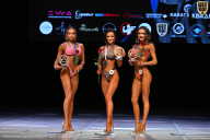 Кубок Вологодской области по бодибилдингу - 2026