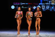 Кубок Вологодской области по бодибилдингу - 2026