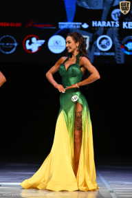 Кубок Вологодской области по бодибилдингу - 2026