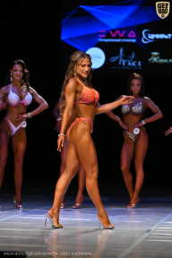 Кубок Вологодской области по бодибилдингу - 2026