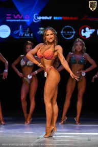 Кубок Вологодской области по бодибилдингу - 2026