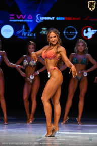 Кубок Вологодской области по бодибилдингу - 2026