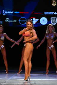 Кубок Вологодской области по бодибилдингу - 2026