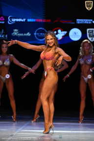 Кубок Вологодской области по бодибилдингу - 2026