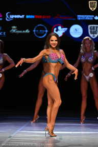 Кубок Вологодской области по бодибилдингу - 2026