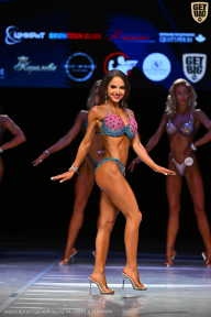 Кубок Вологодской области по бодибилдингу - 2026