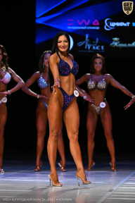 Кубок Вологодской области по бодибилдингу - 2026