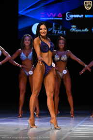 Кубок Вологодской области по бодибилдингу - 2026