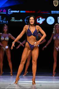 Кубок Вологодской области по бодибилдингу - 2026