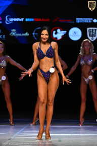 Кубок Вологодской области по бодибилдингу - 2026