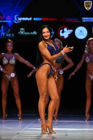 Кубок Вологодской области по бодибилдингу - 2026