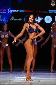 Кубок Вологодской области по бодибилдингу - 2026