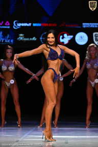 Кубок Вологодской области по бодибилдингу - 2026